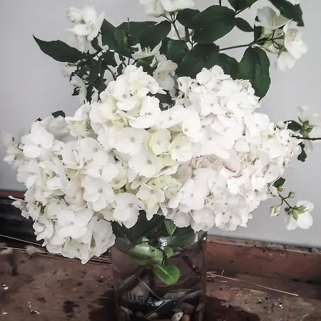 Ilab Rural Bed & Breakfast