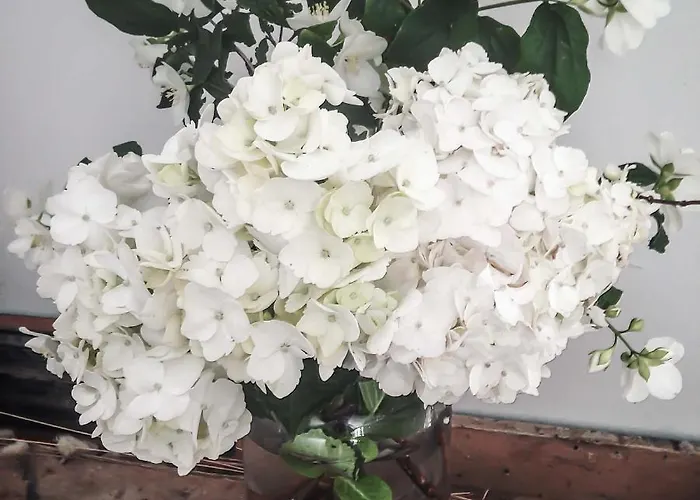 Ilab Rural Nocleg ze śniadaniem